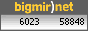 bigmir)net TOP 100