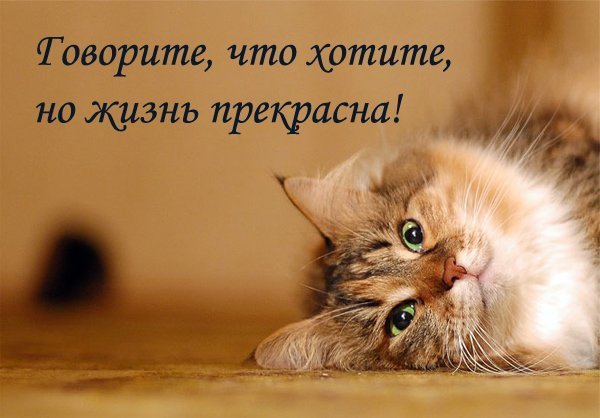 Песня подруги говорят не грусти забудь скачать