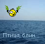 sniper1