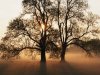 Nostrik-