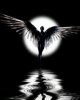 armida_dragon