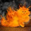 GreatCat