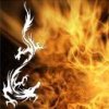 Drakon*