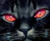 Go2Bed
