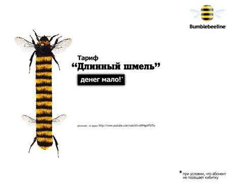 Картинка дня