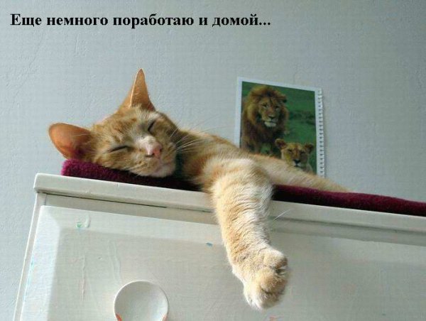 http://i.bigmir.net/img/prikol/images/large/4/4/86544_98064.jpg