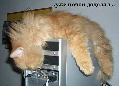 http://i.bigmir.net/img/prikol/images/large/4/4/86544_98066.jpg
