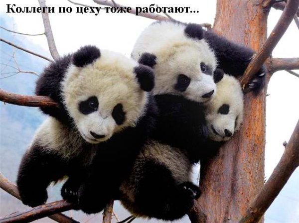 http://i.bigmir.net/img/prikol/images/large/4/4/86544_98067.jpg
