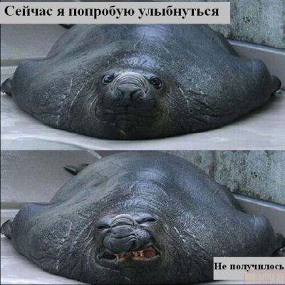 http://i.bigmir.net/img/prikol/images/small/3/3/113433.jpg