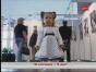 � ������� ������������ ��� 9 ������