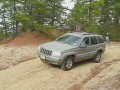 ��� ����� ���� - ��� ������ ���� ��...