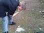 JACKASS