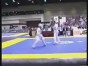 ���������-������ �������