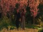 Heroes S02E07