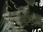 ATB - Ecstasy