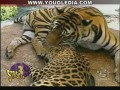 �������� ��������