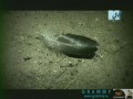 ���� - ������� ����