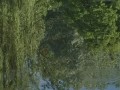 ������ ������������ ����� ����������� � ������� . ��������� ������ �.�������������: ����� � �������