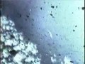 Nuclear god
