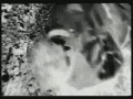 Manic Street Preachers - Love's Sweet Exile