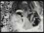 Manic Street Preachers - Love's Sweet Exile