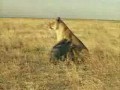 ������ � �����
