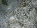 ����� �� ����